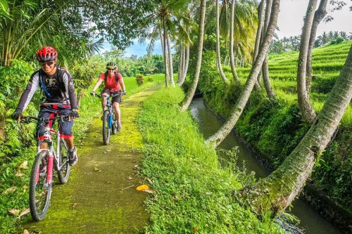 bali trip driver hire, bali cycling tour in ubud